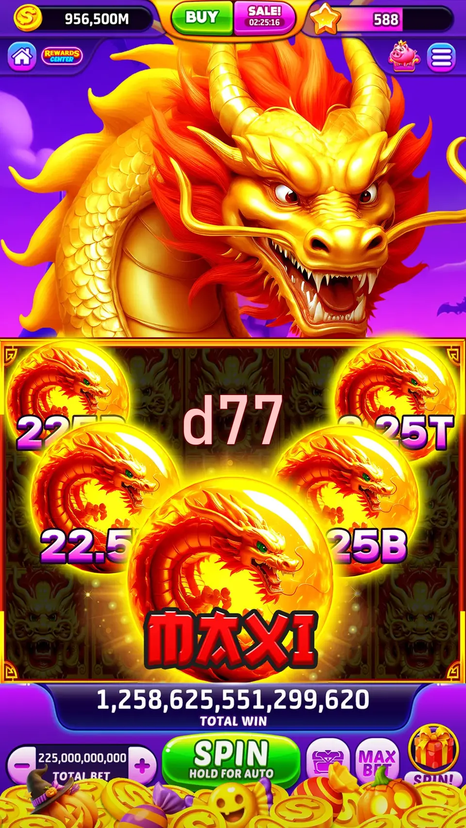 d77 Login
